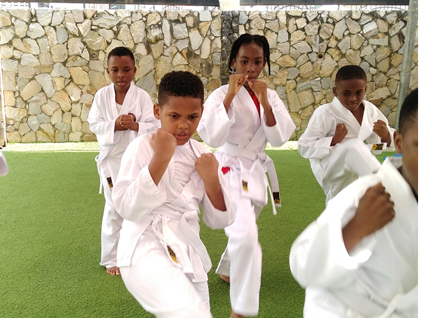 karate-curricula-bridging_gaps